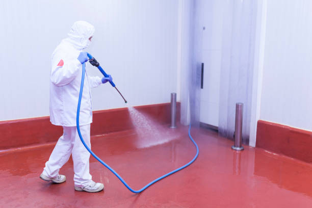Paint Preparation in Surgoinsville, TN