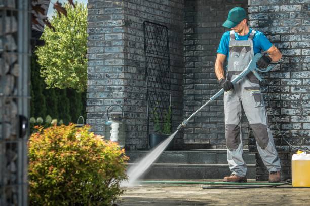 Best House Exterior Washing  in Surgoinsville, TN